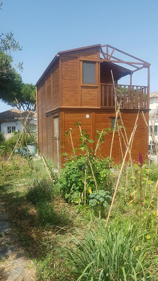 치클라나 데 라 프론테라 Casa De Madera De Sancti Petri 빌라 외부 사진